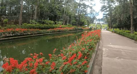 baguio city wright park|BAGUIO CITY GUIDE: Wright Park and The Mansion (How To .